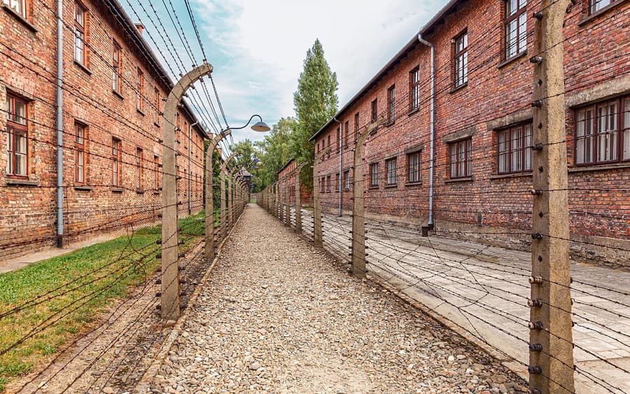 Dari Krakow: Tur Terpandu Auschwitz-Birkenau dengan Transportasi