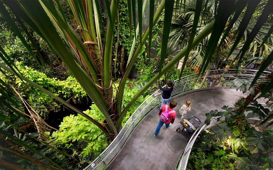 California Academy of Sciences Tickets
