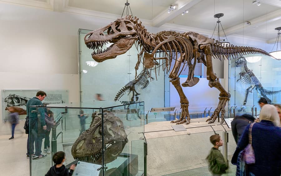 Biglietti per l'American Museum of Natural History