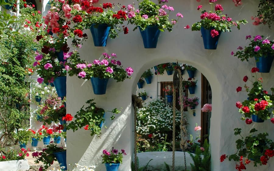 Authentic Patios of Cordoba Skip-the-Line Guided Tour