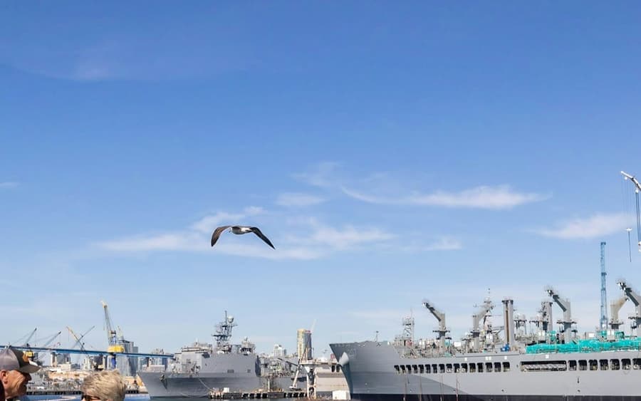 San Diego Harbor: 2-Hour Cruise with Live Guide