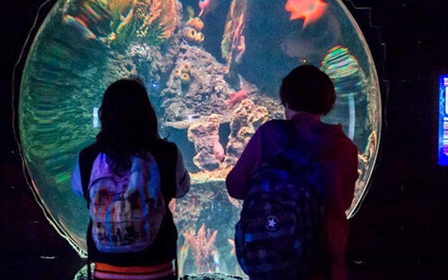 Zoo Santo Inacio + Sea Life Porto Pass