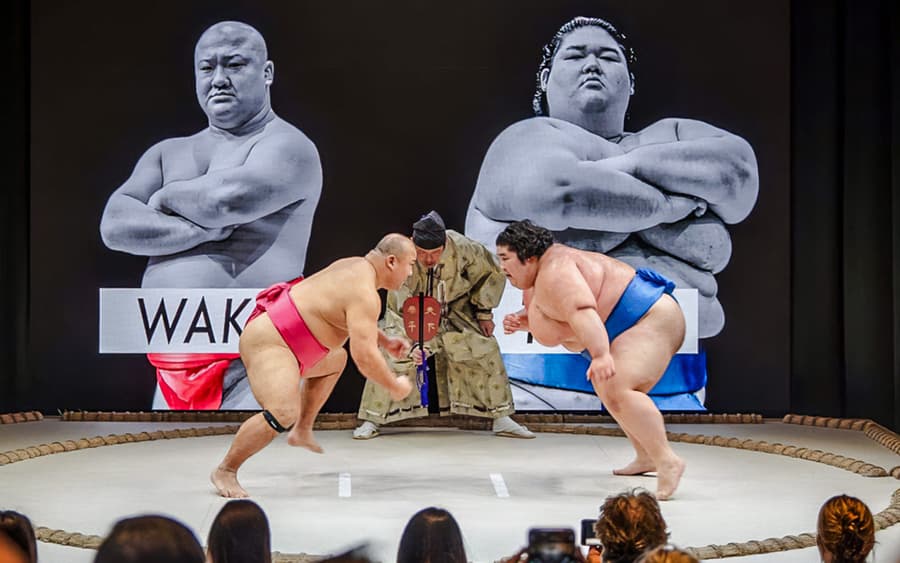 Bilet wstępu do Sumo Hall Hirakuza w Osace