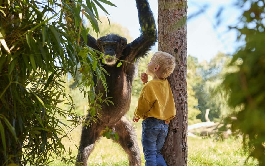 Eindhoven Zoo