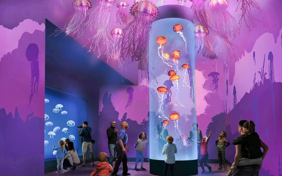 SeaWorld San Diego Any-Day Tickets