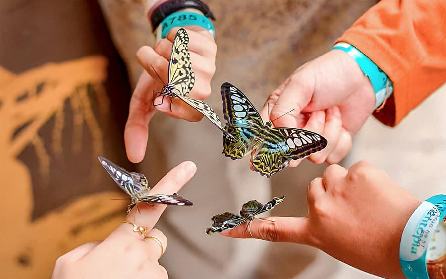 Entradas para Entopia by Penang Butterfly Farm