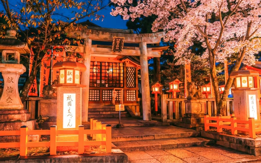 Kyoto Cherry Blossom Night Tour: Hanami, Maruyama Park, Izakaya, en Yasaka Shrine