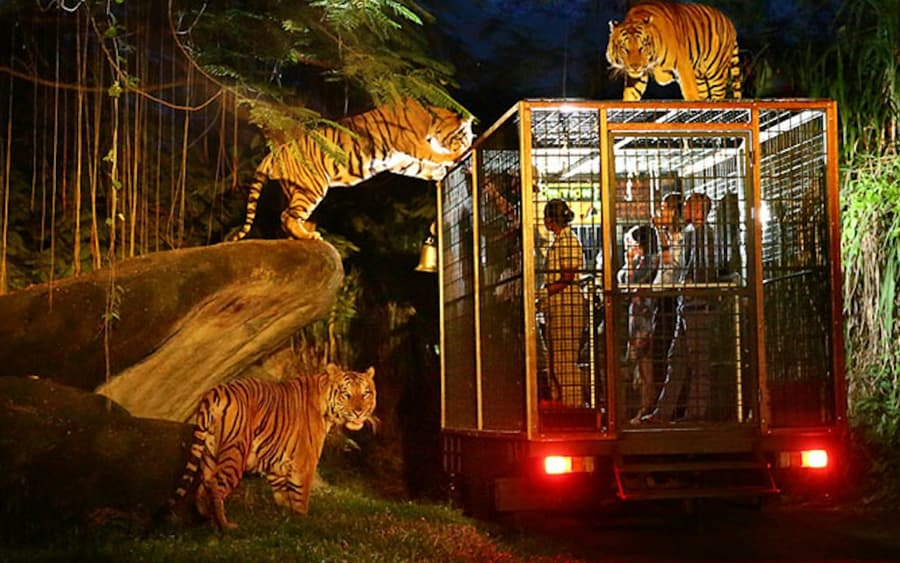 Bali Safari & Marine Park: Night Safari