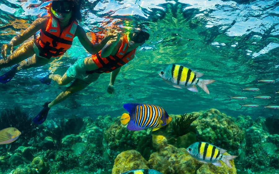 Puerto Morelos Reef: Snorkeling Adventure with Beachside Lunch