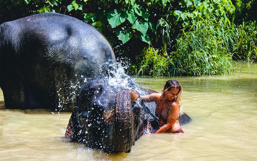 Ao Nang Elephant Sanctuary Half-Day Guided Tour with Hotel Transfers