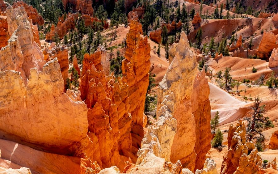 From Las Vegas: Bryce Canyon & Zion National Parks Day Tour with Lunch