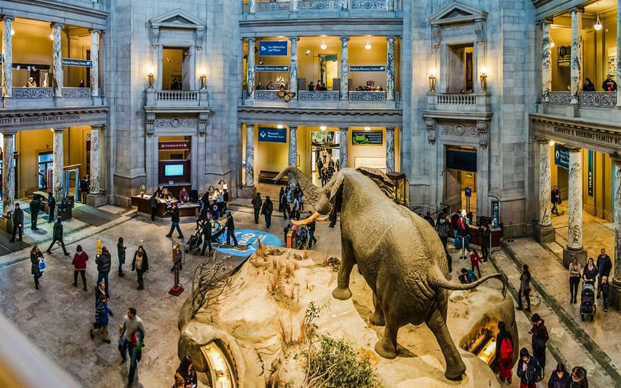 Smithsonian National Museum of Natural History Tours