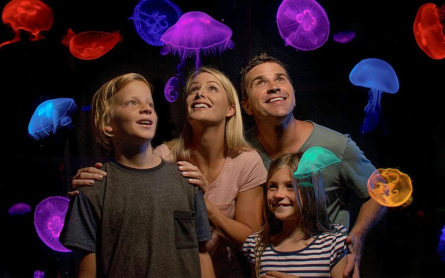 SEA LIFE Sunshine Coast Aquarium Tickets