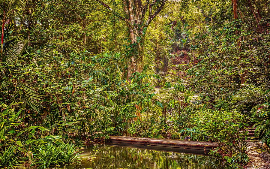 Tickets to Tropical Spice Garden Penang