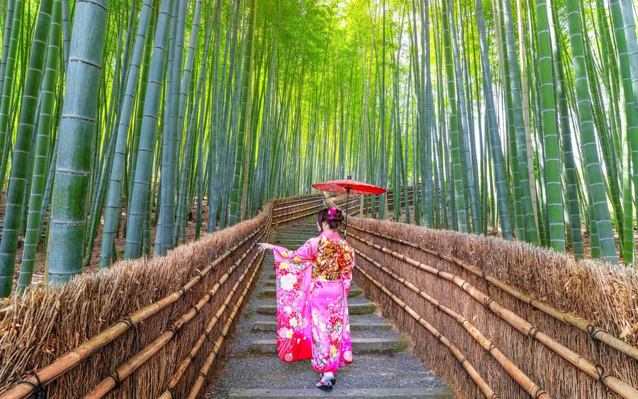 Kyoto Guided Tour: Bamboo Grove, Shrines & Nara Park from Osaka