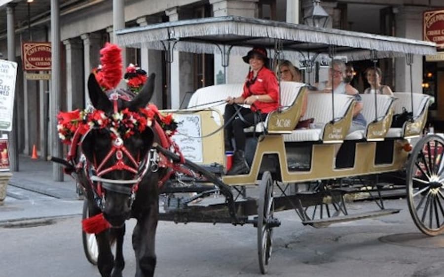 French Quarter by Mule Drawn Carriage: 60-Minute Tour