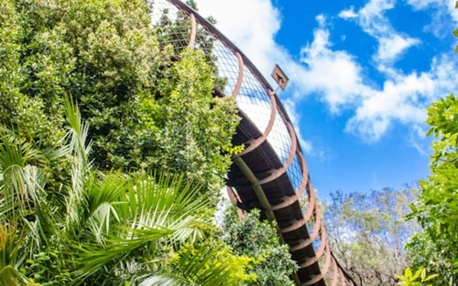 Constantia: Full-Day Wine Tour + Roundtrip Transfer