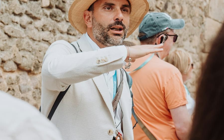 Pompeii & Herculaneum: Fast Track Ticket + Guided Tour