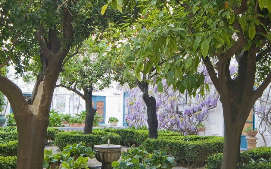 Viana Palace: Guided Tour