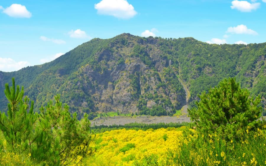 Mount Vesuvius: Skip The Line Ticket + Roundtrip from Naples