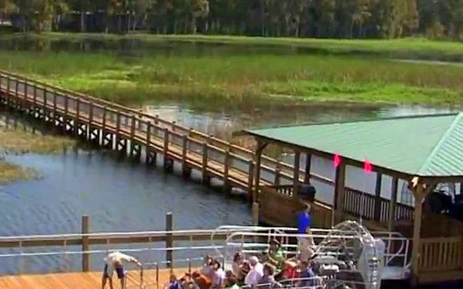 Wild Florida 1-Hour Everglades Airboat Tour