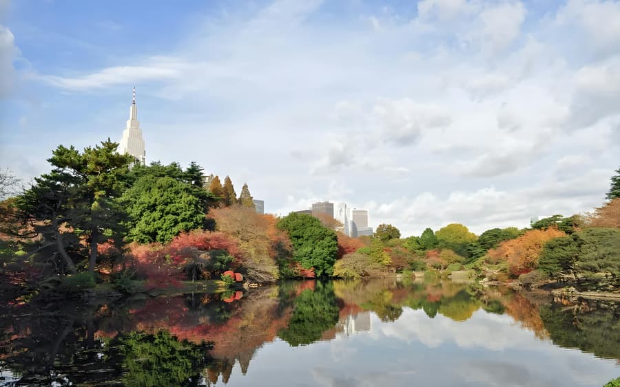 Biglietti d'ingresso per Shinjuku Gyoen National Garden