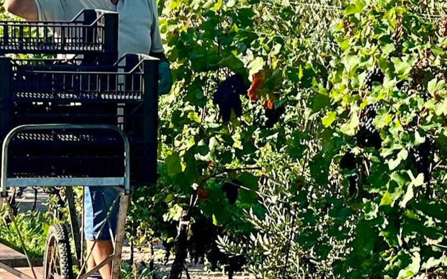 Cantina Fratelli Vogadori: Valpolicella Wine Tasting Experience