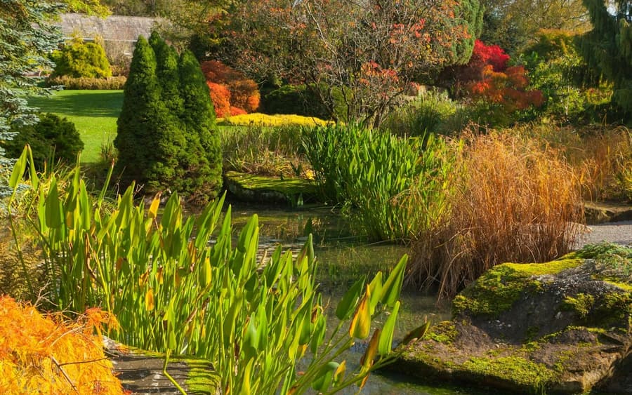 RHS Garden Harlow Carr: Entry Ticket