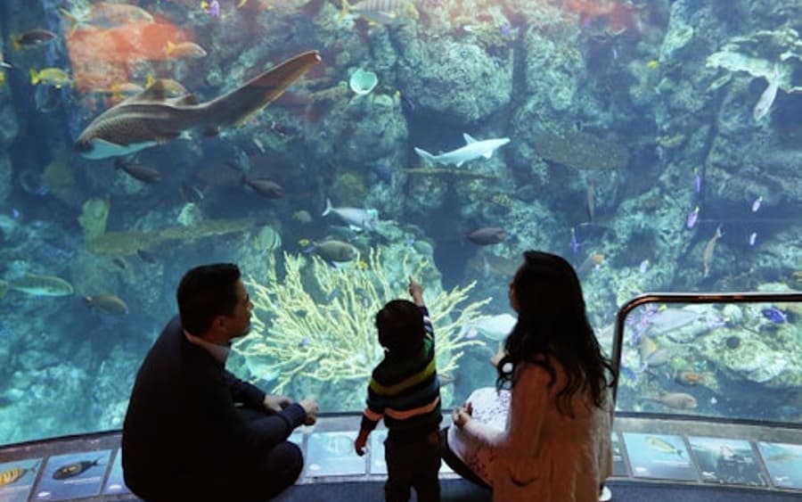 Aquarium of the Pacific: Membership Voucher