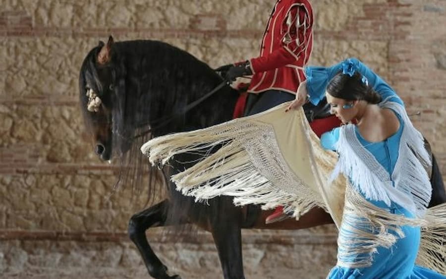 Equestrian Show 'Passion and Spirit of the Andalusian Horse'