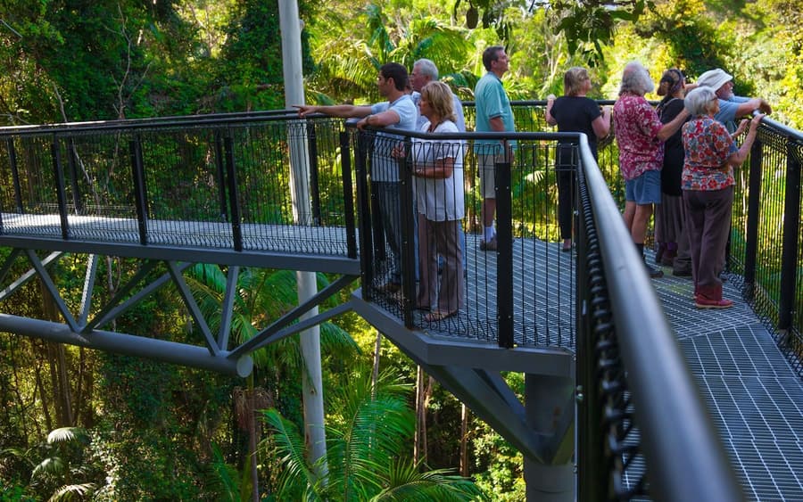 Tamborine Mountain: Hop-on Hop-off Bus from Brisbane