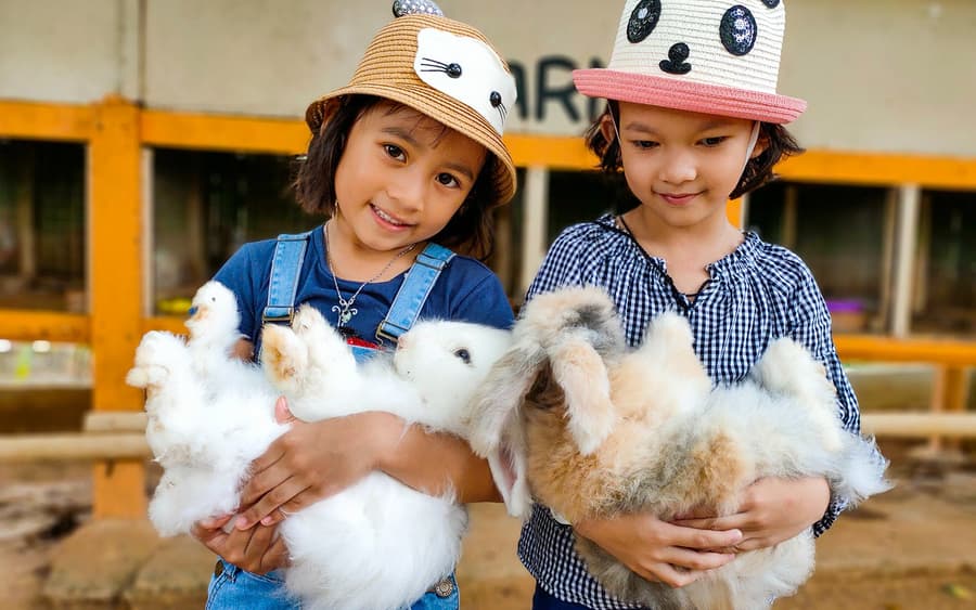 Melaka Crocodile & ​​Recreational Park Admission