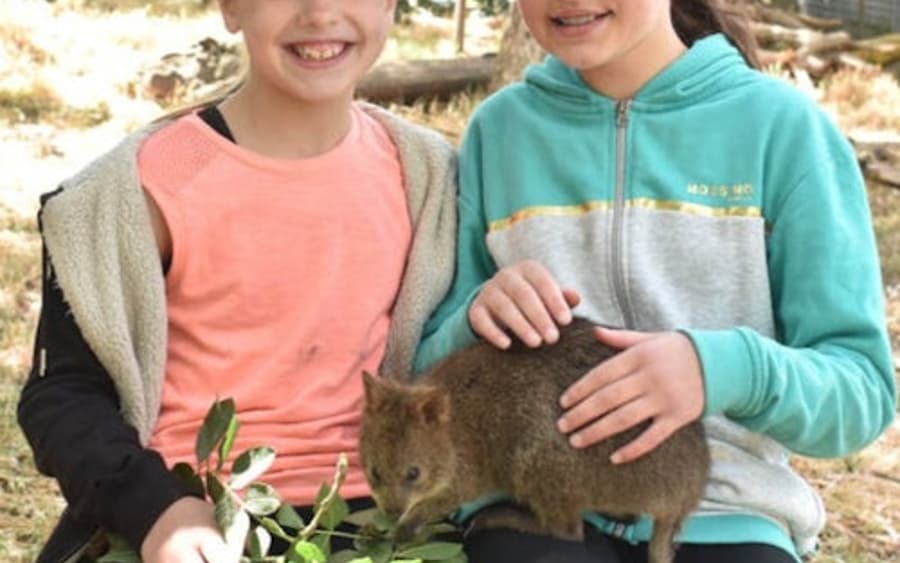 Gorge Wildlife Park: Sisäänpääsylippu