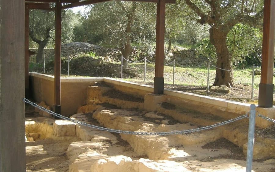 Villa Castelli: Walking Tour with Olive Oil Tasting
