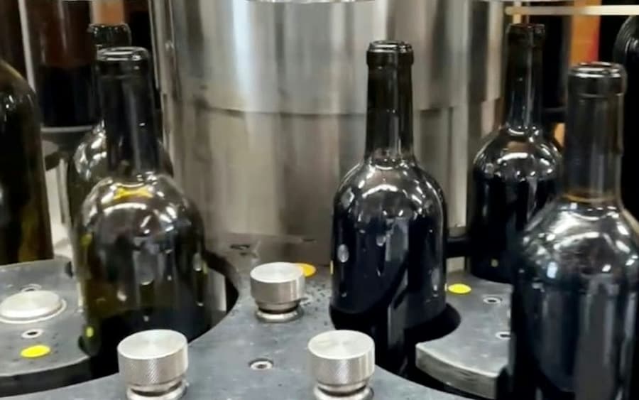 Reif Estate Winery: Walking Tour and Tasting