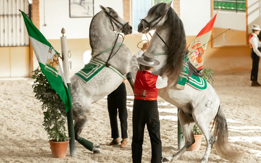 Club Hipico El Ranchito: Andalusian Horse and Flamenco Show