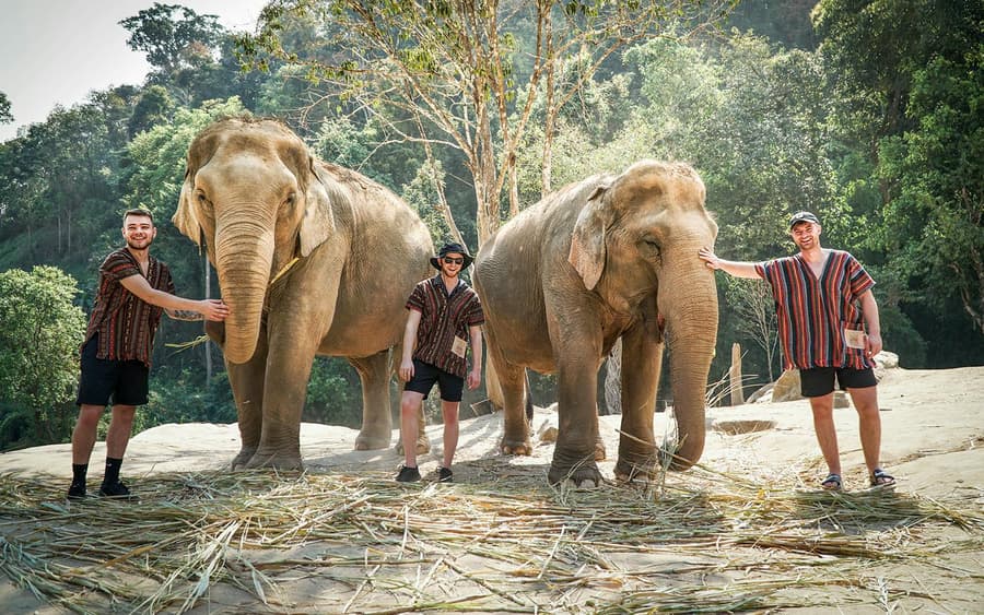 Chiang Mai: Elephant Jungle Sanctuary and Mama Noi Thai Cooking Class Full Day Tour with Hotel Transfers