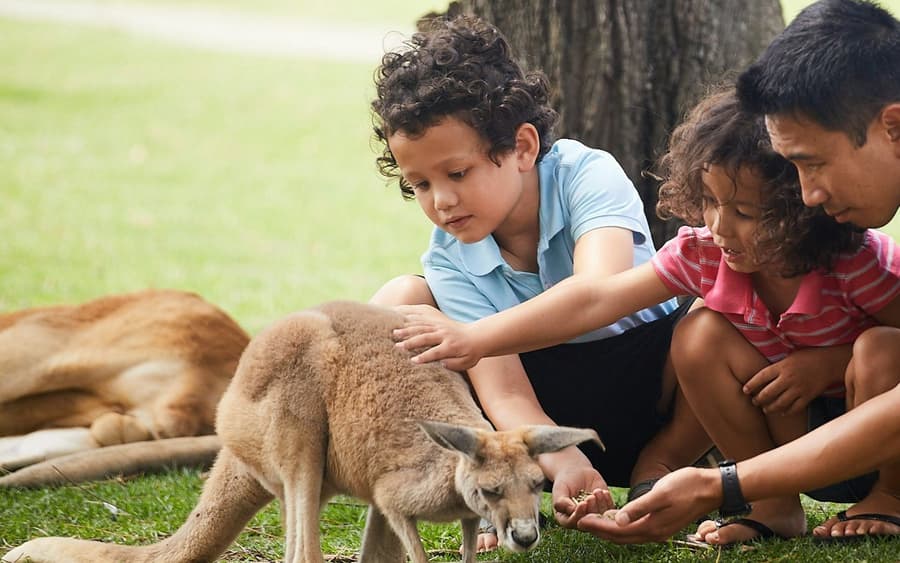 Oakvale Wildlife Park: Entry Ticket