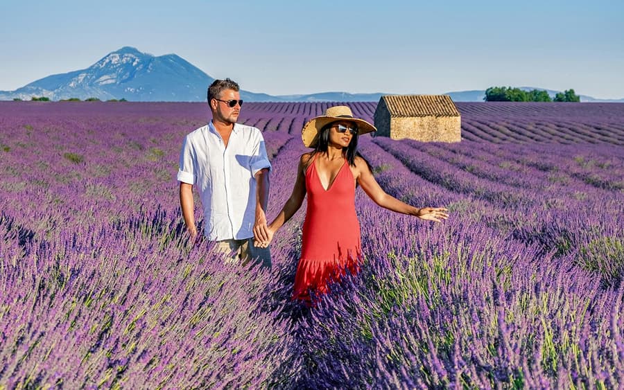 From Aix-En-Provence: Lavender Fields Tour