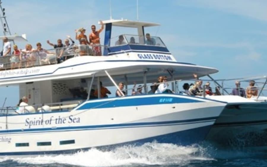 Gran Canaria: Tour de Avistamiento de Delfines