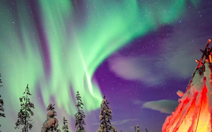 Northern Lights Rovaniemi: Wilderness Tour + Professional Camera