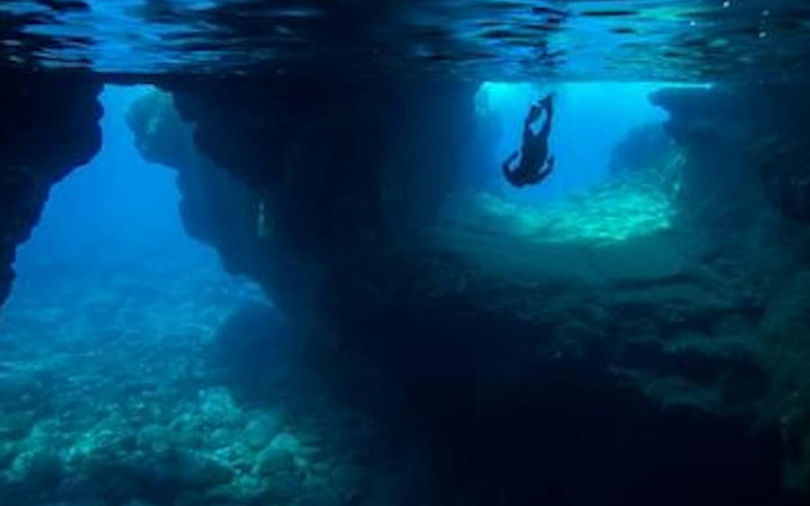 Kealakekua Bay: Marine Adventure