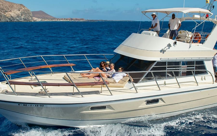 Los Cristianos: Guided Yacht Cruise + Whale Watching + Lunch