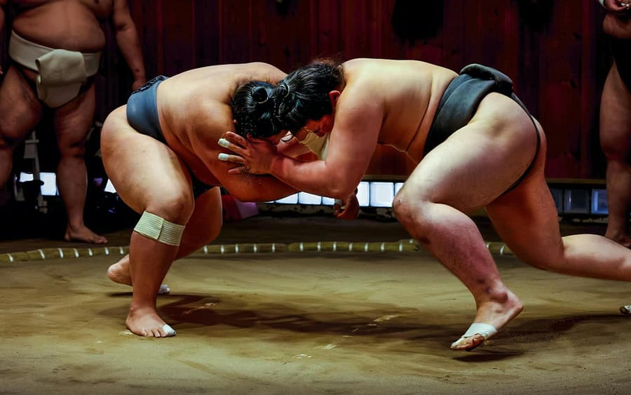 Sumo Show with a Retired Wrestler & Tonkatsu Lunch · Sumida