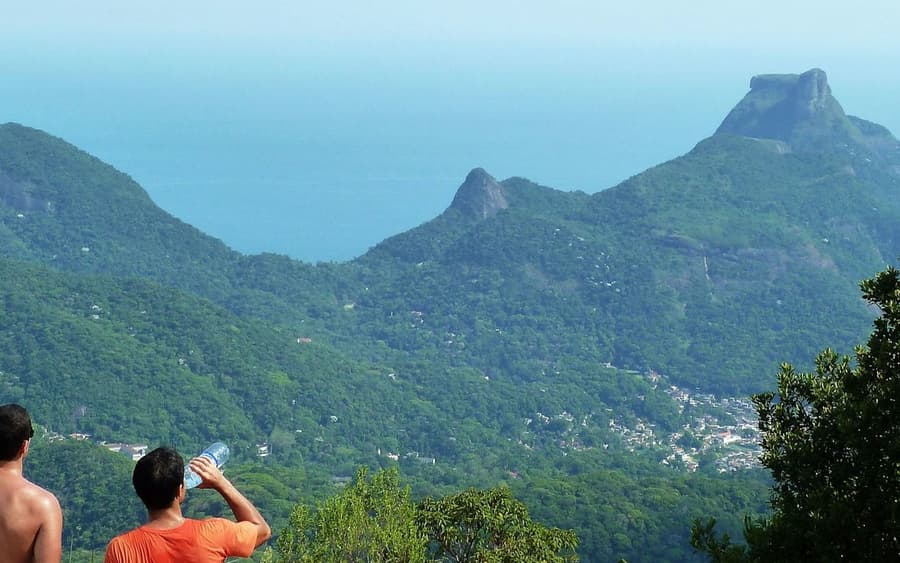 Tijuca Peak: Guided Hiking Tour + Hotel Transfer