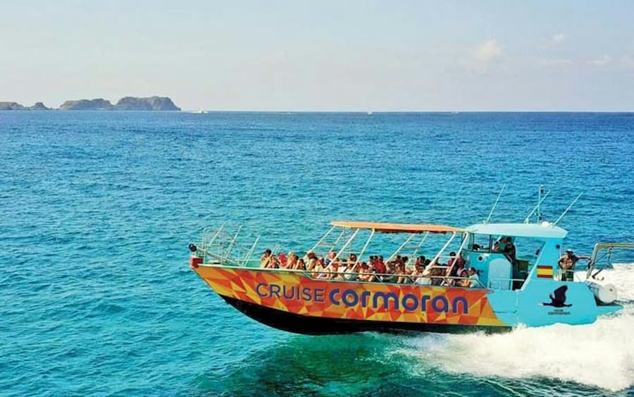 Santa Ponsa: Caves, Cliffs & Coves Boat Trip + Snorkelling