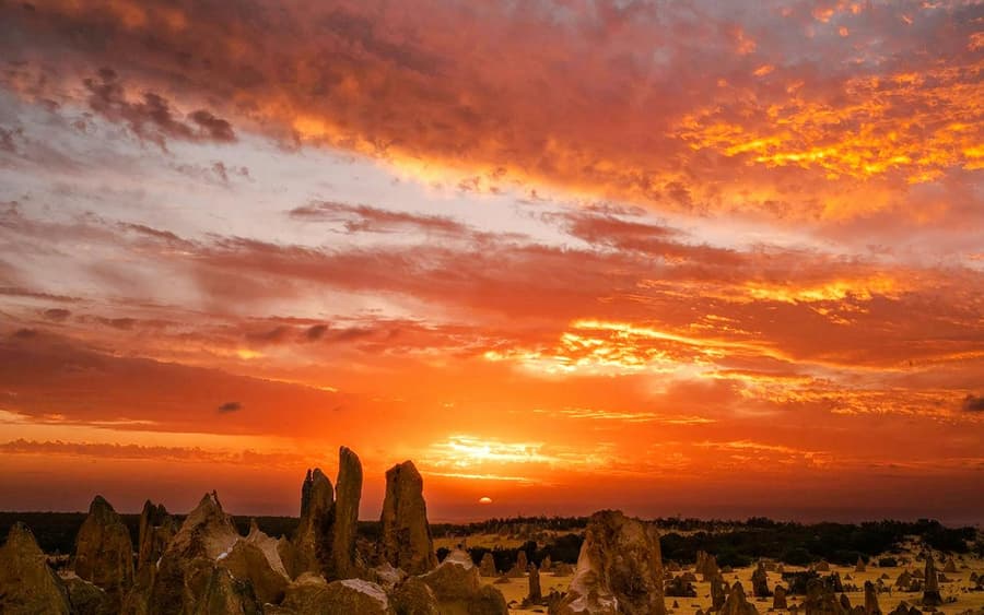 Pinnacles Sunset, Stargazing, & Wildlife Spotting Tour with Tavern Dinner & Round-Trip Transfers