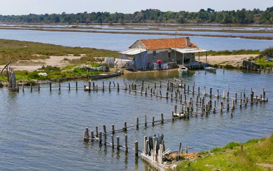 From Tirana/Durres: Karavasta Lagoon 4x4 Off-Road Day Trip