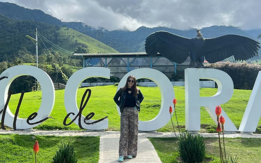 Cocora Valley: Guided Shared Tour From Salento