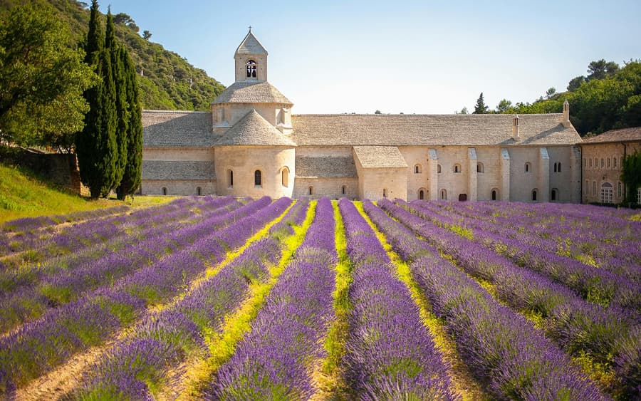 From Marseille: Lavender Fields Tour